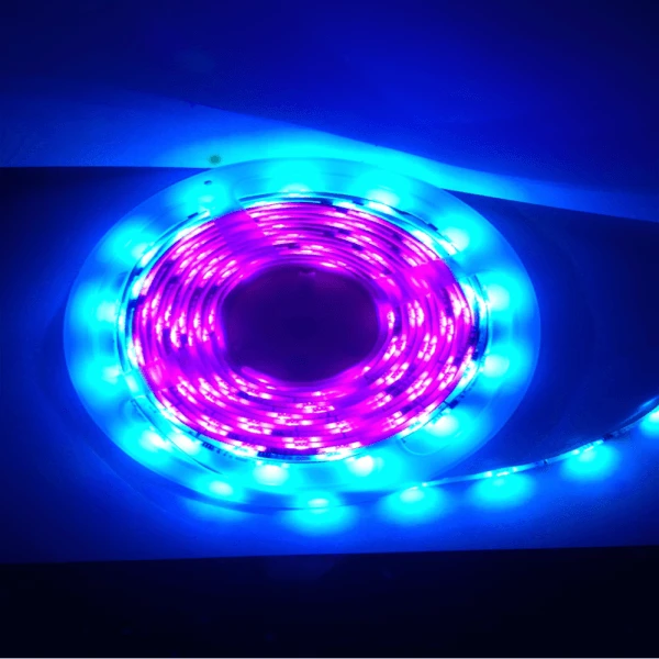 5M Flag Pole Pre-Set Digital Led Dream Lights Strip 7 5M Flag Pole Pre-Set Digital Led Dream Lights Strip - Image 5